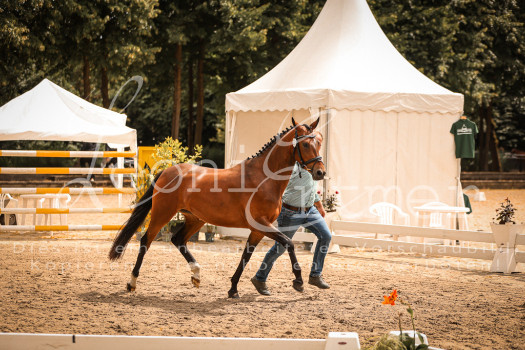 11.So00038 | Leoni Ertmer Photography - Realisiert mit Pictrs.com