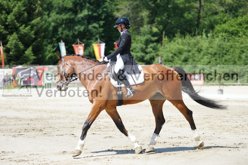 DSC03214 | equestrian-live-com