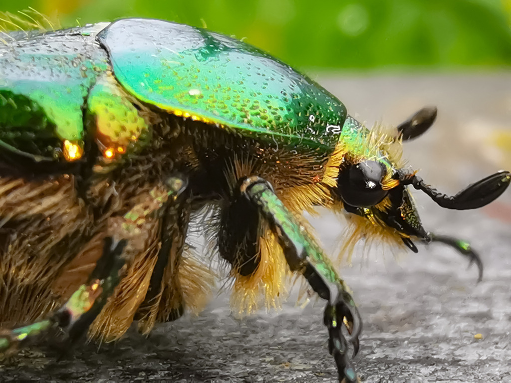 PSX_20230525_231354 | mtkfoto_ - Realisiert mit Pictrs.com