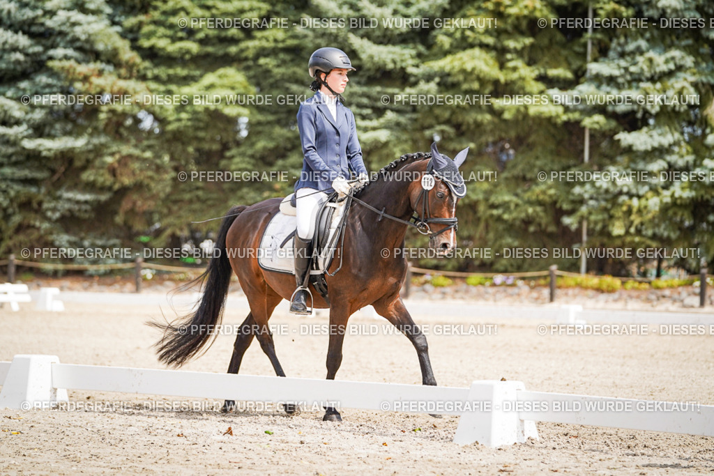 DSC02521 | Pferdegrafie