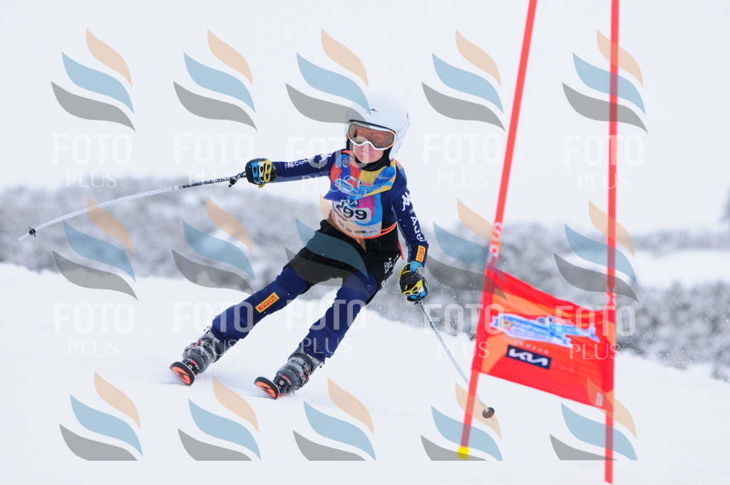 C3161 | holidayphoto