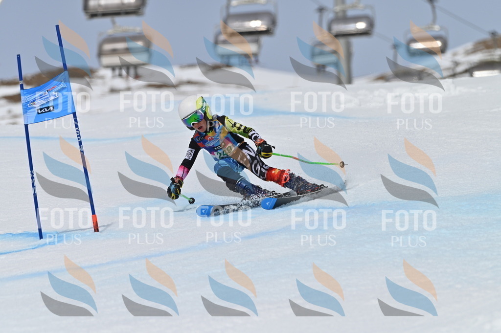 BGV_4934 | holidayphoto