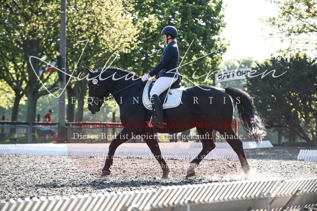 DSC_8456 | Pferde- und Turnierfotografie in Westsachsen. Pferdeportraits, Auftragszeichnungen und intuitive Kunst.
