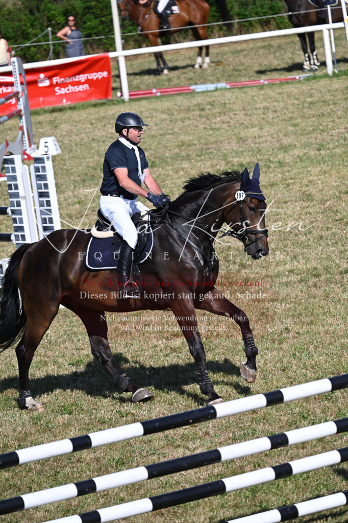 DSC_2157 | Pferde- und Turnierfotografie in Westsachsen. Pferdeportraits, Auftragszeichnungen und intuitive Kunst.