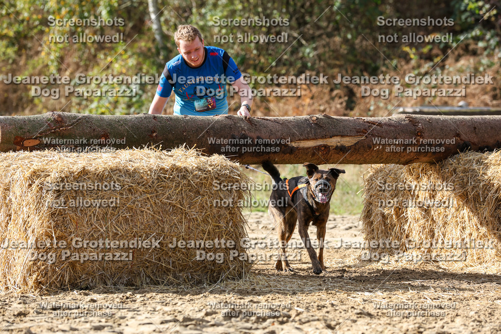 Dog Paparazzi - Strongdog 10-25-5407 | Dog Paparazzi Jeanette Grottendiek Fotografie & Videografie - Realisiert mit Pictrs.com