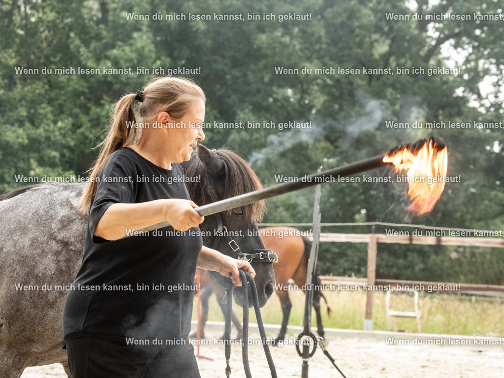 598A7427 | photographylinaismer - Realisiert mit Pictrs.com