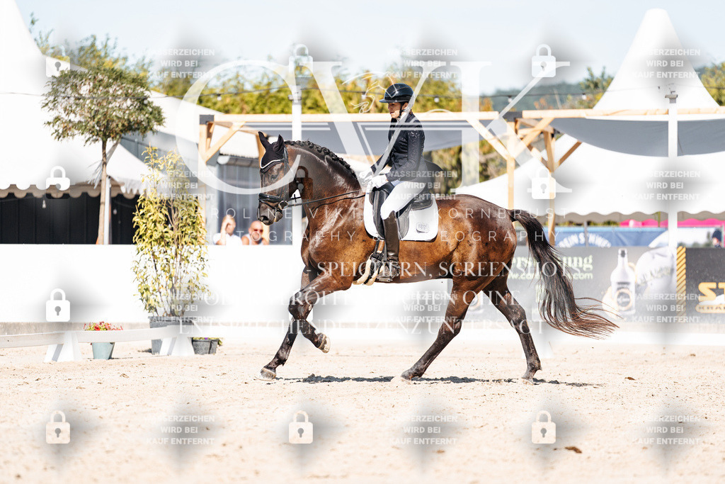 CK908574 | Turnierfotografie Pferdefotografie Trier Rheinland-Pfalz Pferdesport Reitsport Tierfotografie Sportfotografie Pferdevideo Pferdevideografie Equestrianvideography equestrianphotography  - Realisiert mit Pictrs.com