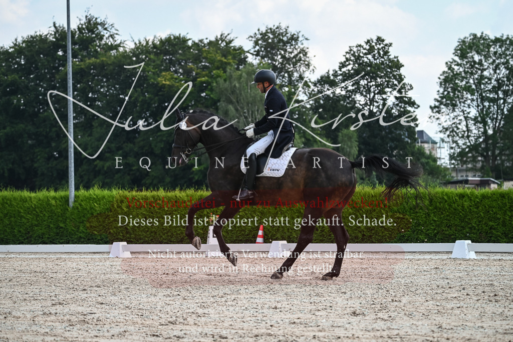 DSC_2403 | Pferde- und Turnierfotografie in Westsachsen. Pferdeportraits, Auftragszeichnungen und intuitive Kunst.