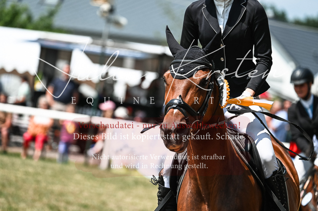 DSC_9515 | Pferde- und Turnierfotografie in Westsachsen. Pferdeportraits, Auftragszeichnungen und intuitive Kunst.