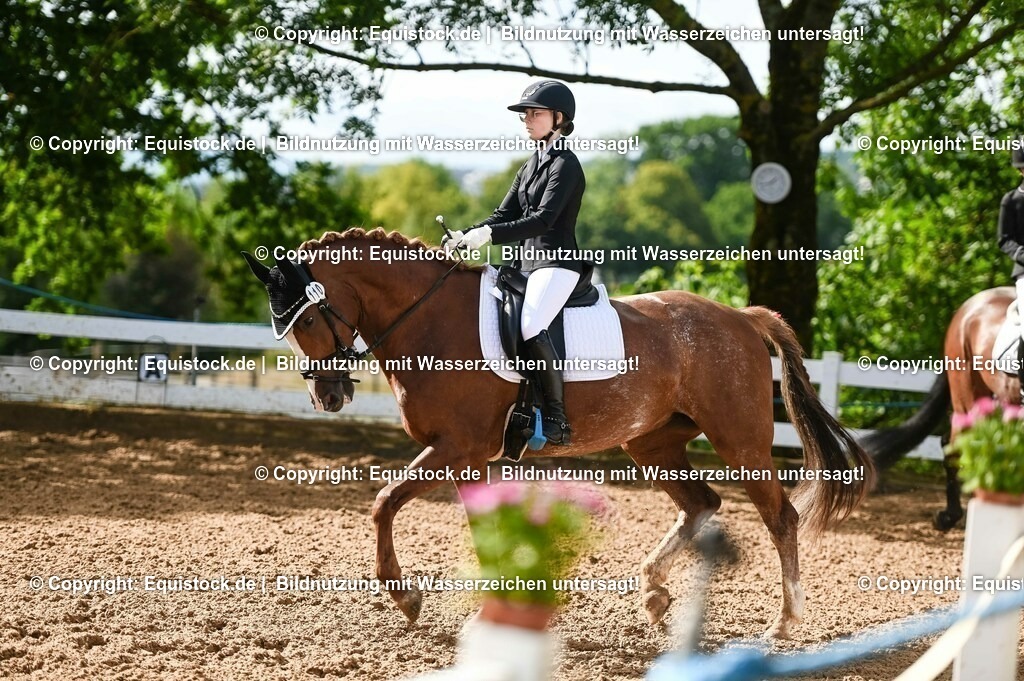 20230716_04_Dressurreiterprüfung Kl.A_0233 | equistock