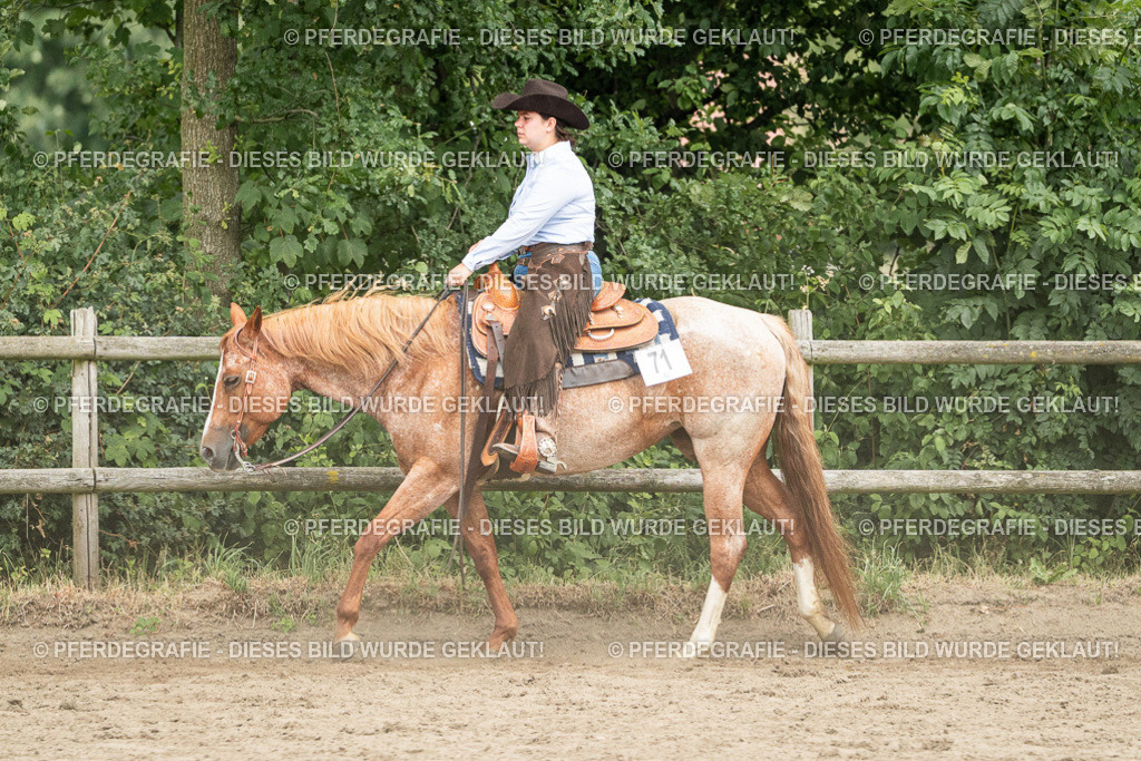 DSC04130 | Pferdegrafie