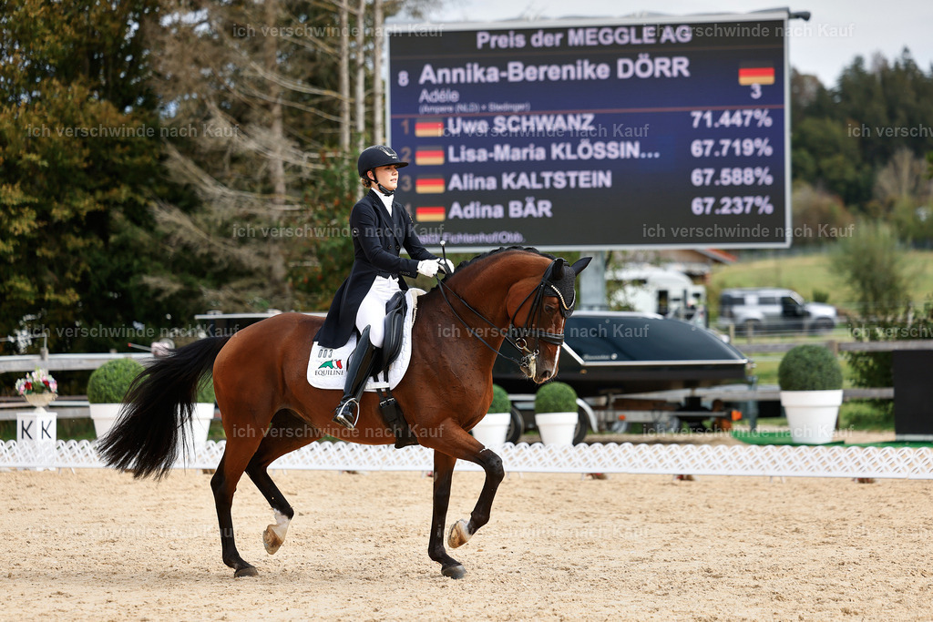 11-003-Dressur S___-StoibPH-1091 | working equitationturnier fotograf videograf stoibphotography marixx film working equitation deutschland reitsport turnierfotografie eventfotografie equestrian events
