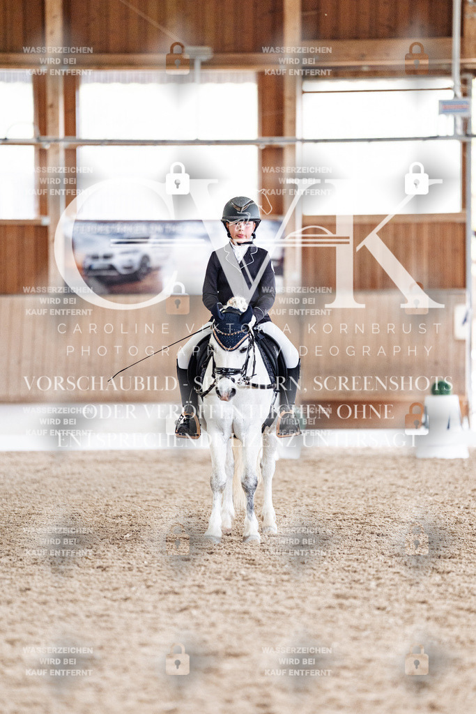CK900989 | Turnierfotografie Pferdefotografie Trier Rheinland-Pfalz Pferdesport Reitsport Tierfotografie Sportfotografie Pferdevideo Pferdevideografie Equestrianvideography equestrianphotography  - Realisiert mit Pictrs.com
