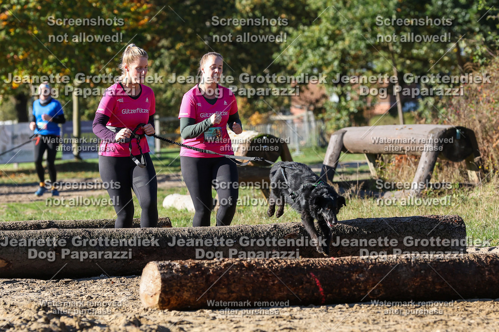 Dog Paparazzi - Strongdog 10-25-1901 | Dog Paparazzi Jeanette Grottendiek Fotografie & Videografie - Realisiert mit Pictrs.com