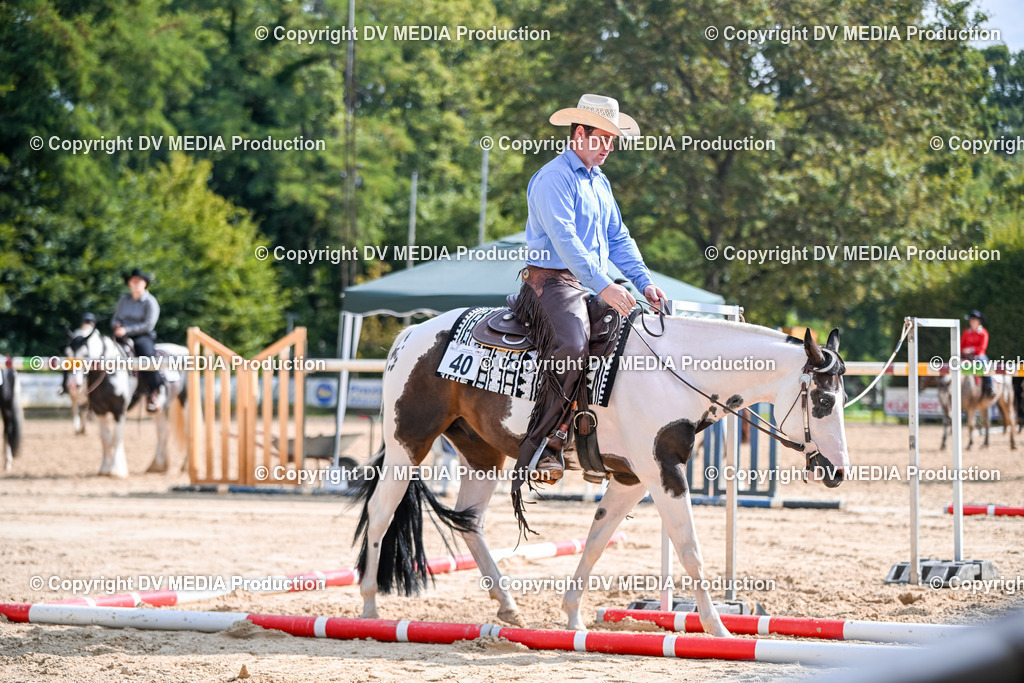 ZS2_3511 | dv-media-shop - Realisiert mit Pictrs.com