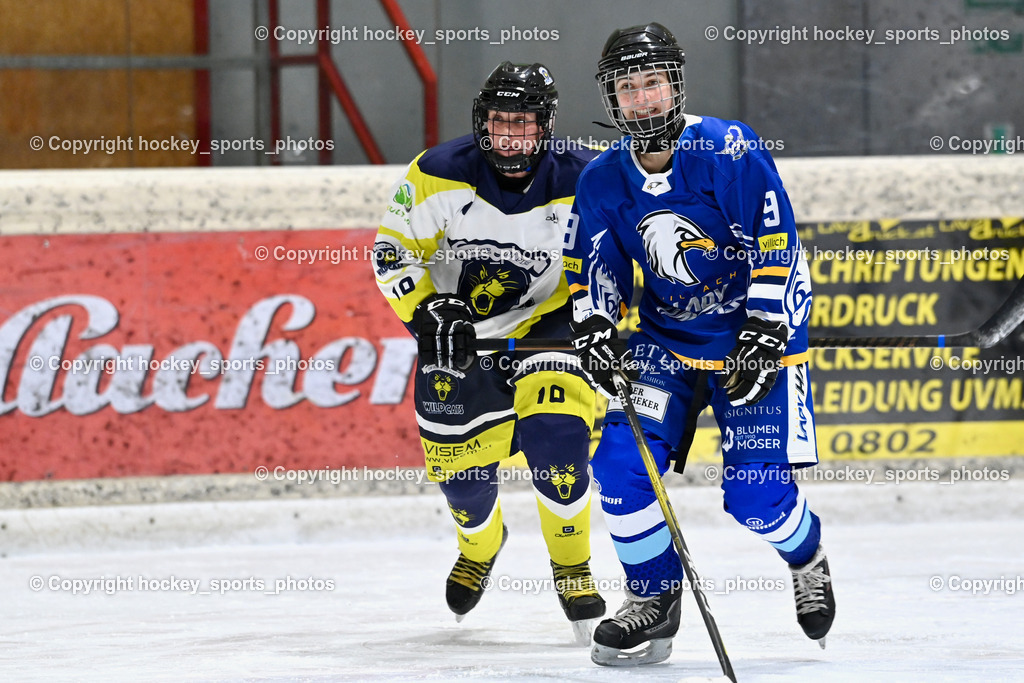 Wildcats Paternion vs. Lady Hawks  | #10 Domenig Verena WILDCATS PATERNION, #9 Pesendorfer Zoe LADY HAWKS, Wildcats Paternion vs. Lady Hawks , Wildcats Paternion vs. Lady Hawks  am 27.01.2025 in Spittal an der Drau (Eissportzentrum Spittal), Austria, (Photo by Bernd Stefan)