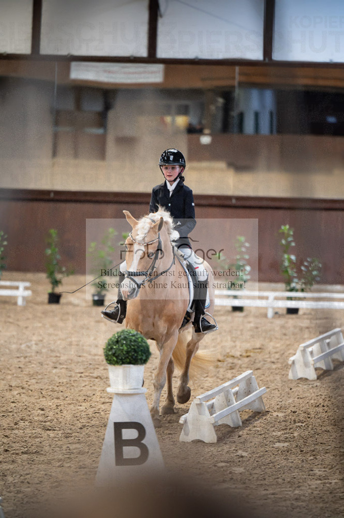 Hallenreittunier Voxtrup 2023 | Entdecke hochwertige Reitturnierfotos von Foto Oger. Professionell, emotional und authentisch – jetzt Lieblingsmomente im Shop bestellen.Deutschlandweite Turnierfotografie. - Realisiert mit Pictrs.com