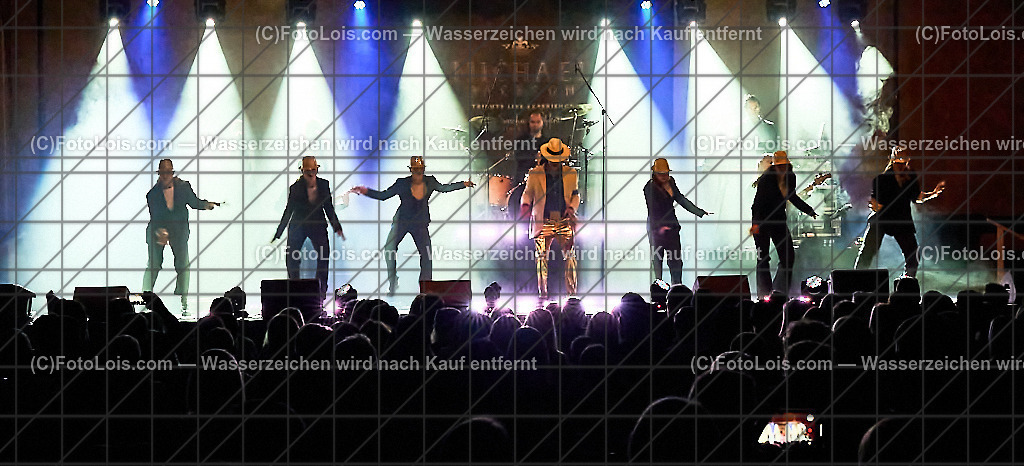 ALP5719_Tribute_Michael Jackson_Wieselburg | (C)FotoLois.com, Alois Spandl.  Michael Jackson Tribute-Konzert im Wieselburger NV-Forum, Mi 30. Oktober 2024.