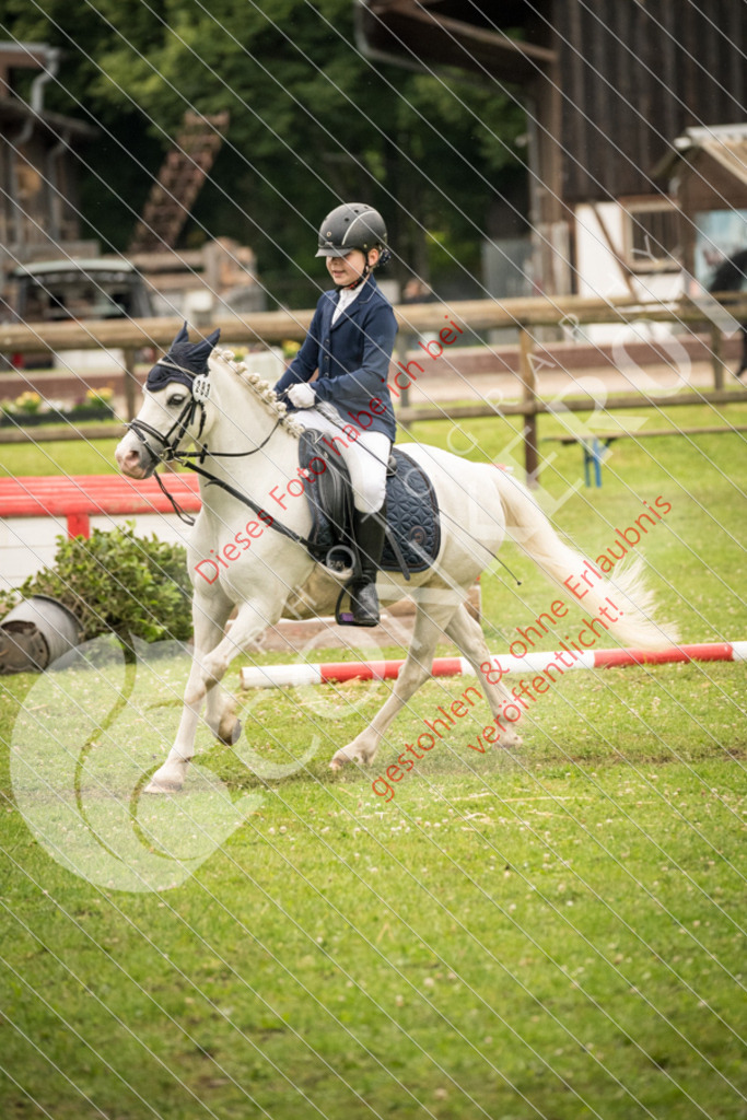 DSC_4817 | Sport-, Event- und Tierfotos in Profiqualität. Einfach auswählen, bestellen und herunterladen. Dein Moment – perfekt festgehalten.