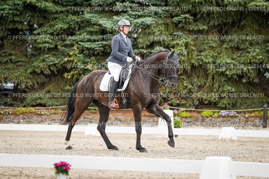 DSC04446 | Pferdegrafie