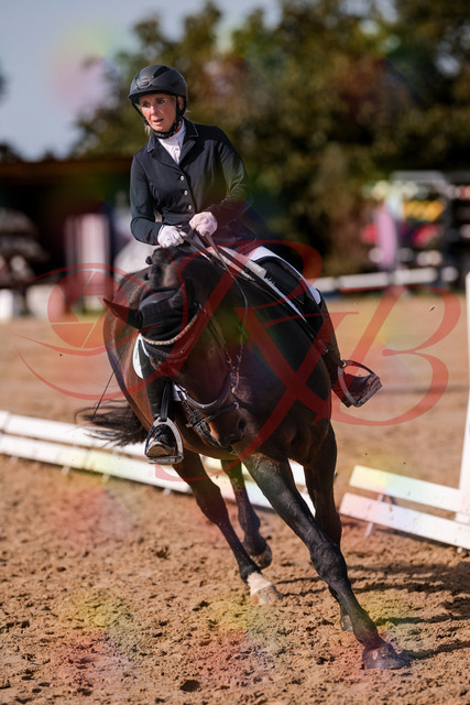 2026_10_03_Siefer-Hof_133829_Z81_96481789 | Professionelle Reitsport-, Turnier- und Eventfotografie von Robert Broda. Galerien mit ausgewählten und bearbeiteten Bildern direkt online ansehen und bestellen.
