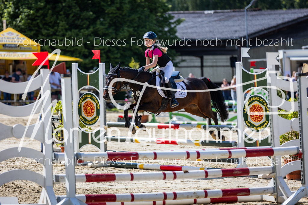 Donop24-ESpr-069 | MomenTaufnahmen Pferdesportfotos