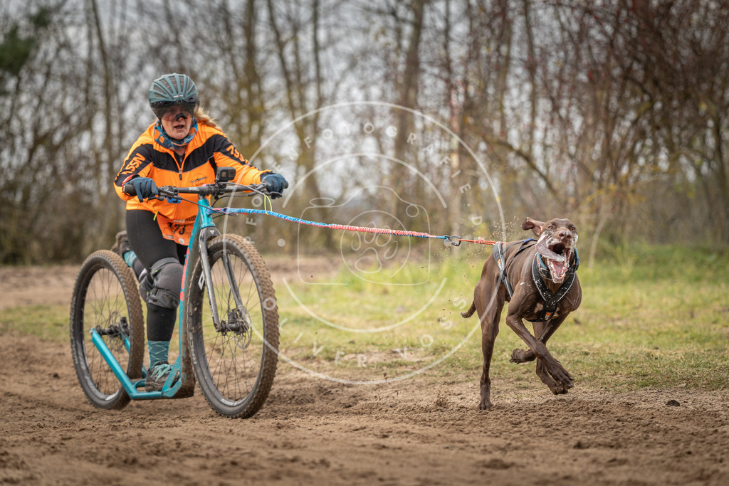 Pfotenfotografie_DV3A9446 | Hundefotografie, Tierfotograf, Pfotenfotografie, Fotoshooting Hund, Hunde Portrait, Hundesport, Hundeportraits, Heideshooting, Hunde, Sportfotograf, Hundefotograf, Turnierhundsport, THS,  - Realisiert mit Pictrs.com