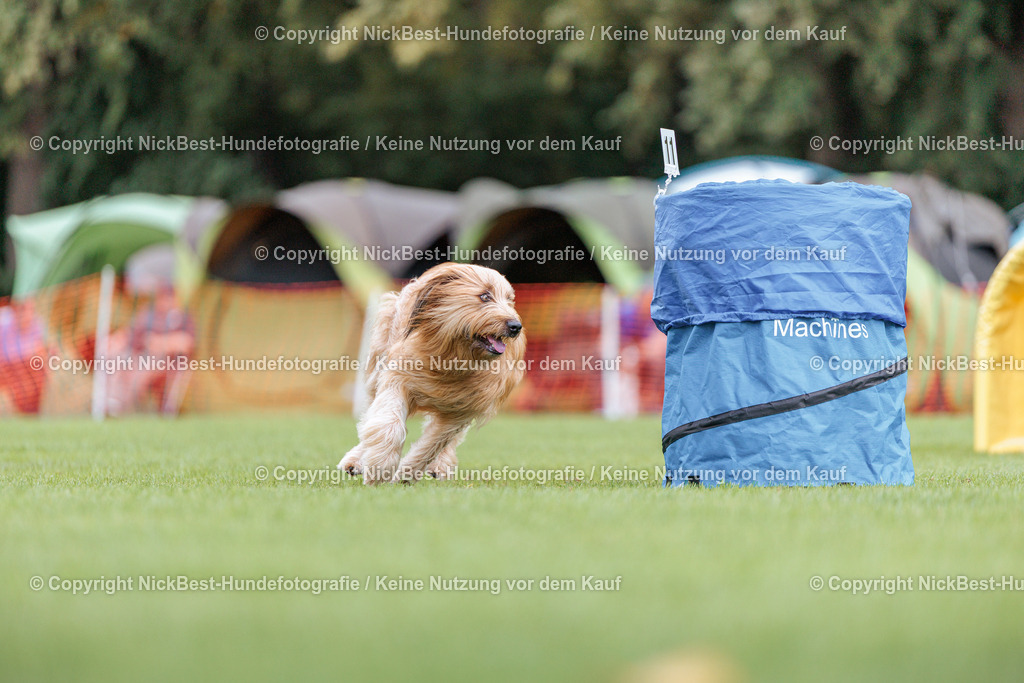 BSP Hoopers-H1-2026-Nickbest-Hundefotografie-TuS Komet Arsten e.V.-7692 | Dein Hund! Dein Moment! Deine Erinnerungen! Hundefotografie in Bremen Blumenthal. Ich fange die besonderen Momente deines Vierbeiners ein – ob Indoor mit Blitzanlage oder in der freien Natur. Sicher dir dein Moment und dein Termin für eure Erinnerungen.