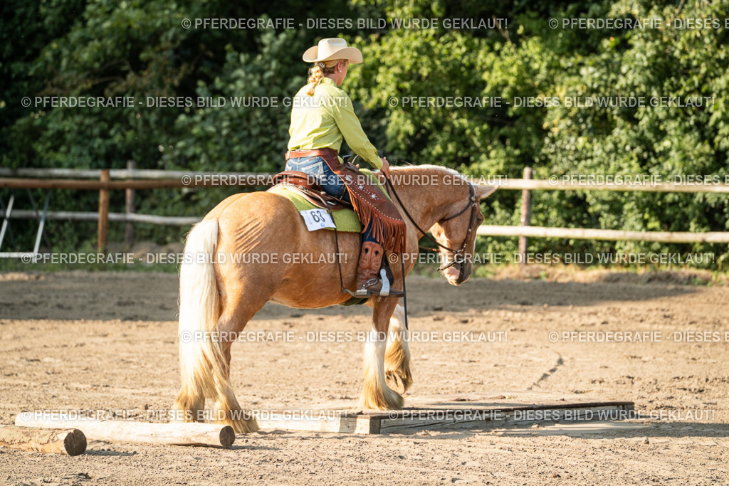 DSC05704 | Pferdegrafie