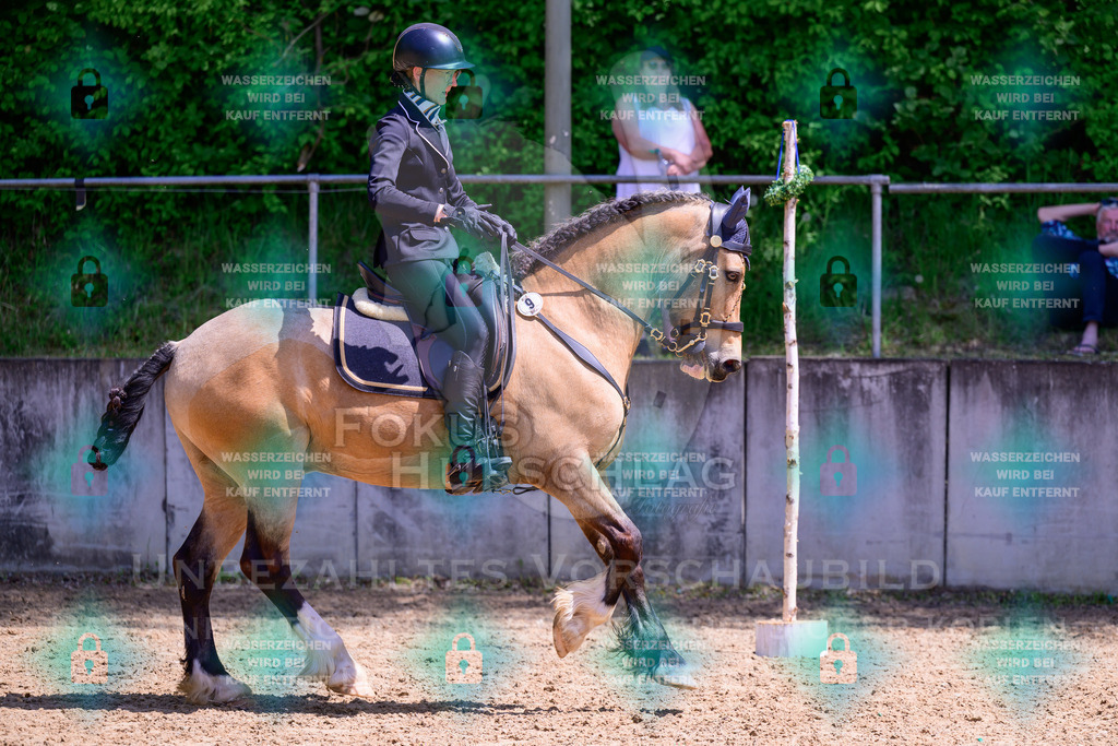 03052026-Giesenbach-05-Stiltrail-0054 | Fokus Hufschlag Fotografie - Realisiert mit Pictrs.com
