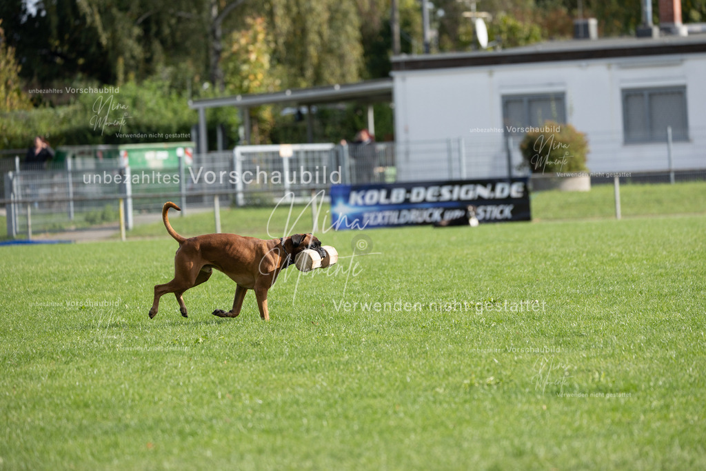 _16A6599 | Einzigartige Fotos von Hunden & Menschen –Actionfotos, Portraits, Vereinsaufnahmen & Paarshootings – authentisch, lebendig & mit Herz.