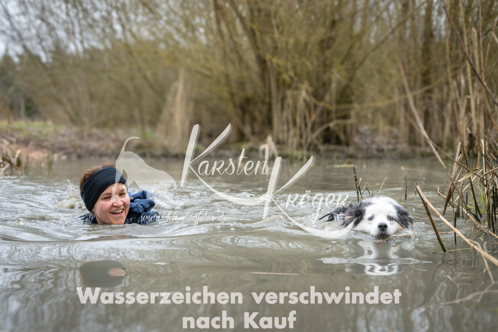 1037_ZZ91609 | kk-dogfotos