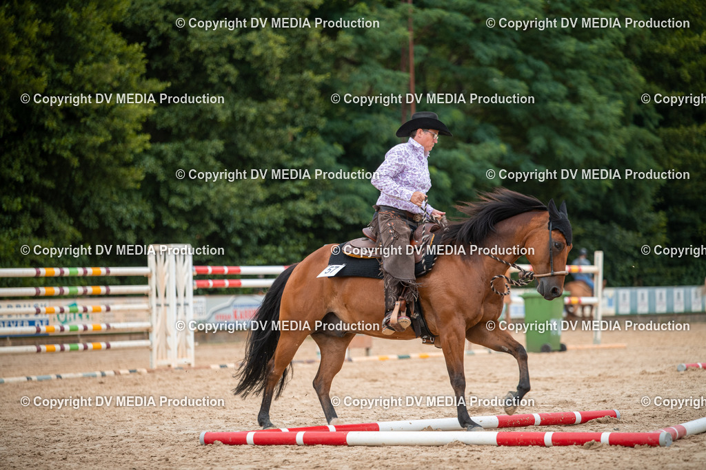 ZS2_8145 | dv-media-shop - Realisiert mit Pictrs.com