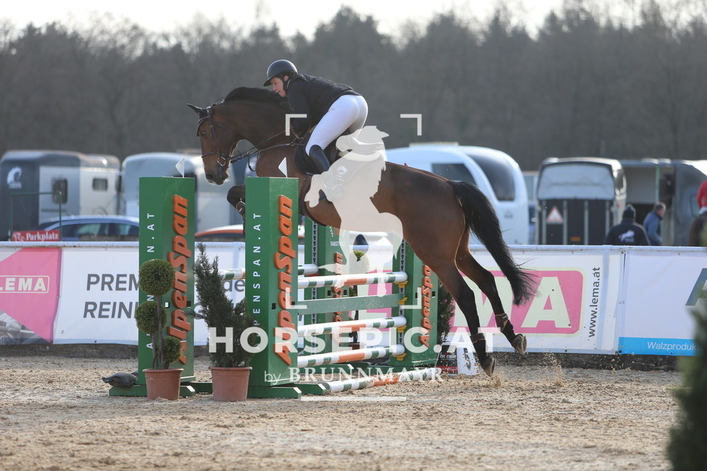 DL2Q8375 | Willkommen bei Brunnmayr - Design & Fotografie – Ihrem Spezialisten für Reitturniere und Pferdeveranstaltungen in Oberösterreich, Salzburg und Bayern! Seit über 17 Jahren sind wir leidenschaftlich dabei.