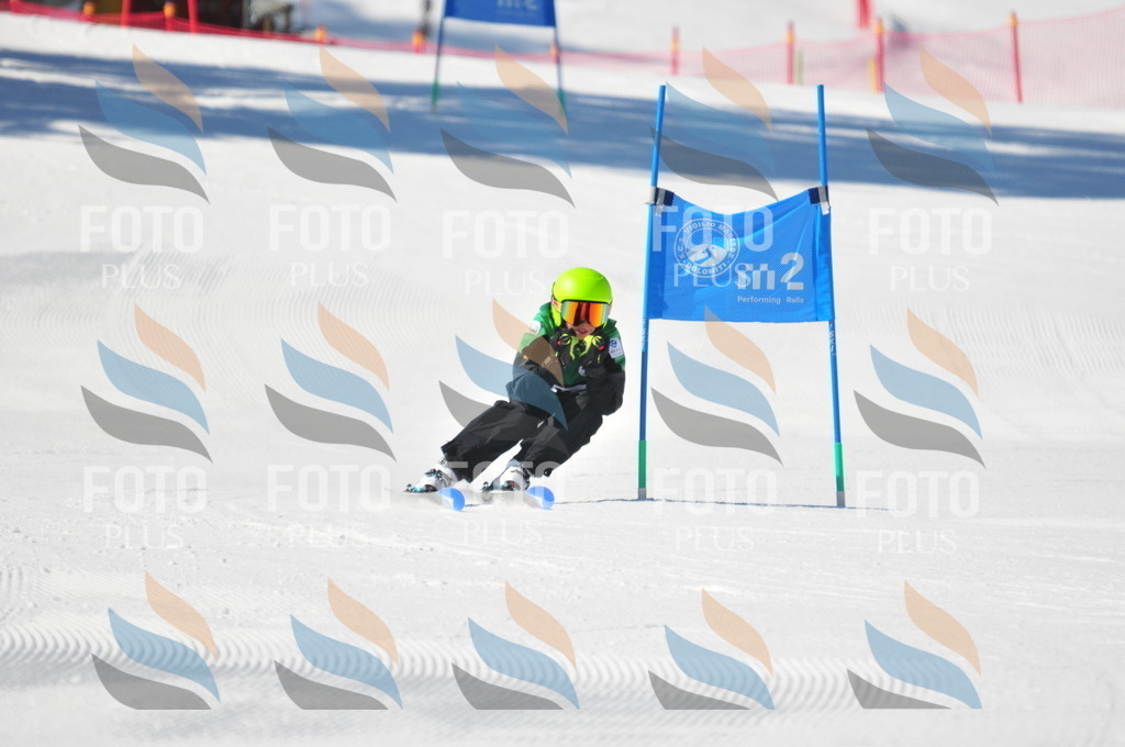 C2811 | holidayphoto