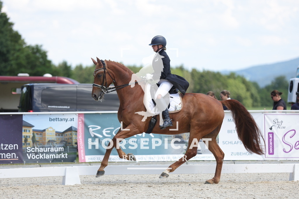 0P6A1573 | Willkommen bei Brunnmayr - Design & Fotografie – Ihrem Spezialisten für Reitturniere und Pferdeveranstaltungen in Oberösterreich, Salzburg und Bayern! Seit über 17 Jahren sind wir leidenschaftlich dabei.