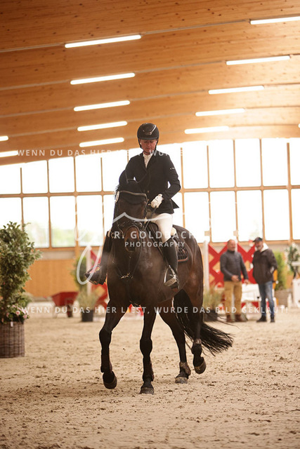 1J2A2858Lisa Charlotte Padberg_ Vinnie Pooh_ Kn488_ Hohen Wieschendorf_ Glantz | Foto- und Videografie für alles rund ums Pferd. Hochwertige Bilder und Videos vom Spring- und Dressurreiten, Voltigieren & mehr. Jetzt aktuelle Veranstaltungen und Preise im Shop ansehen. - Realisiert mit Pictrs.com