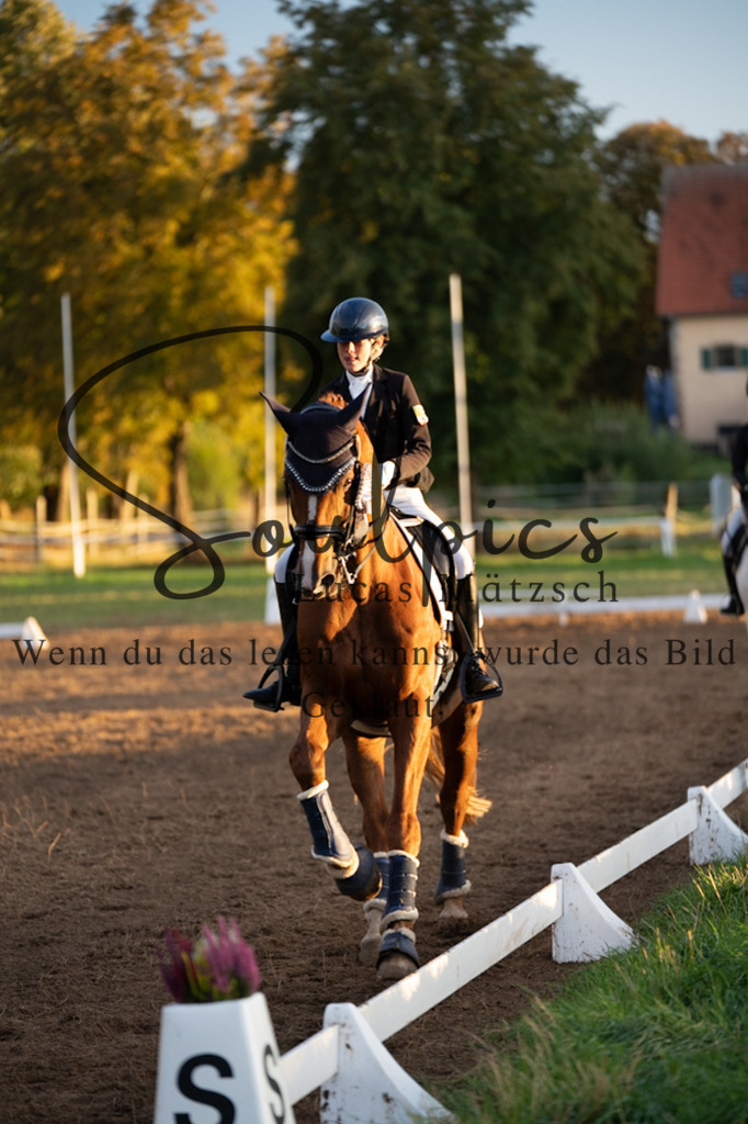 A7V06179 | Pferdefotograf