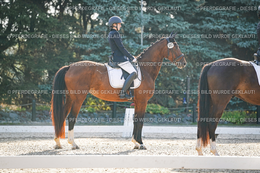 DSC07831 | Pferdegrafie