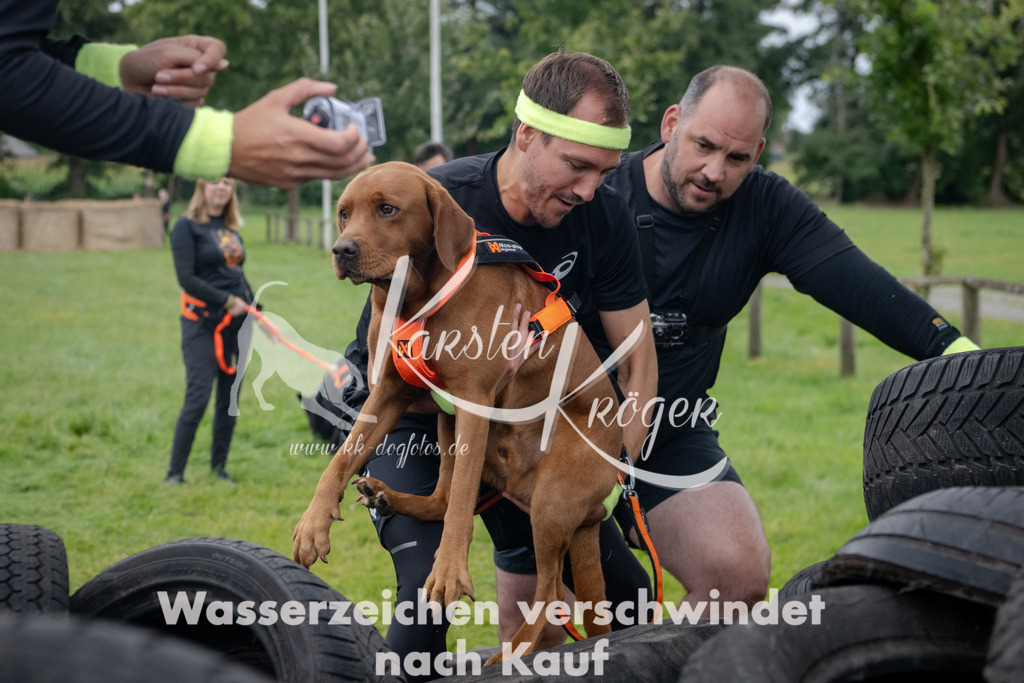 1235_ZZ91337 | kk-dogfotos