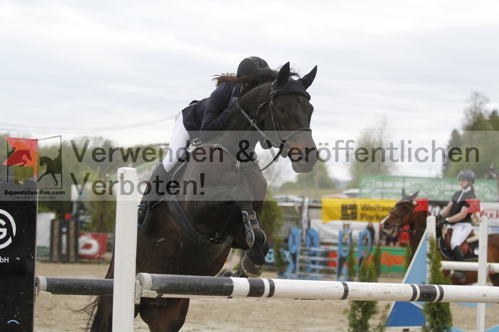 _MG_8472 | equestrian-live-com