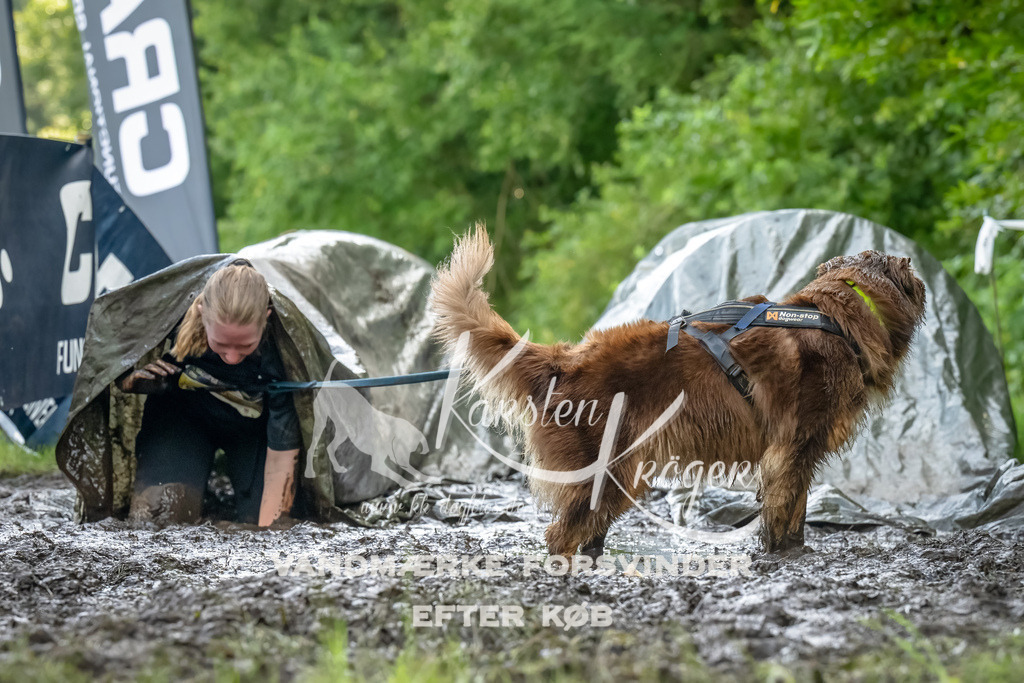 1125_ZZ93576-Bearbeitet | kk-dogfotos