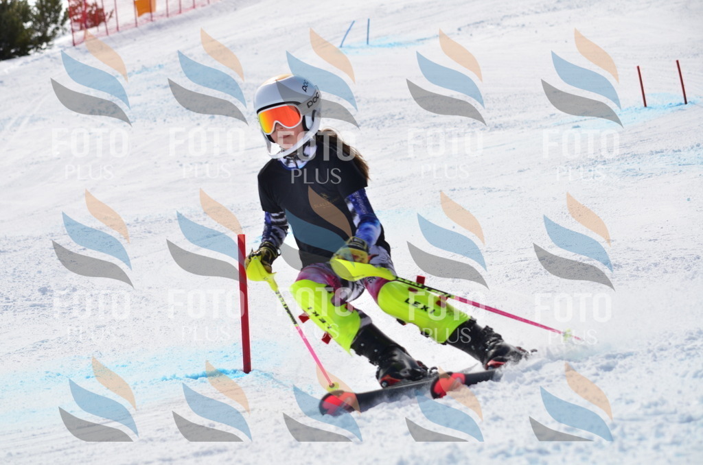 C9995 | holidayphoto