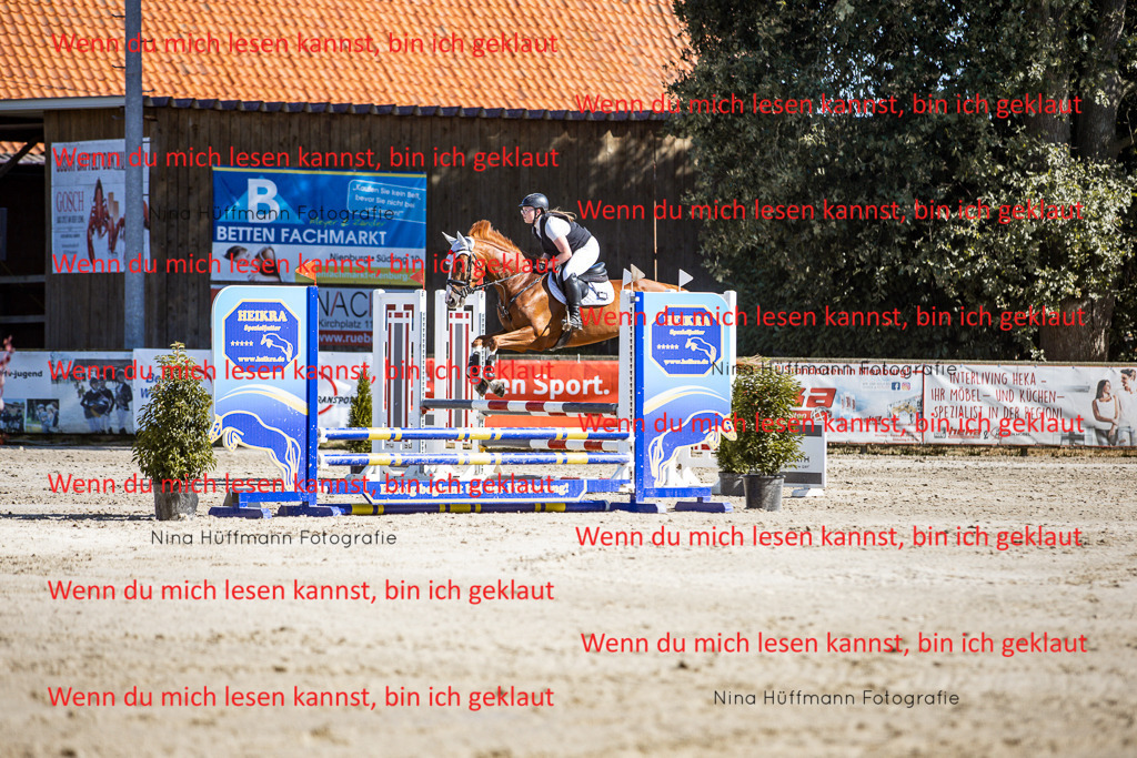 BK1A7973 | Turnierbilder Turnierfotos Nina Hüffmann Turnierfotografie Pferdefotografie Tierzeichnung Haustierzeichnung Pferdezeichnung Hundezeichnung Videograf  - Realisiert mit Pictrs.com