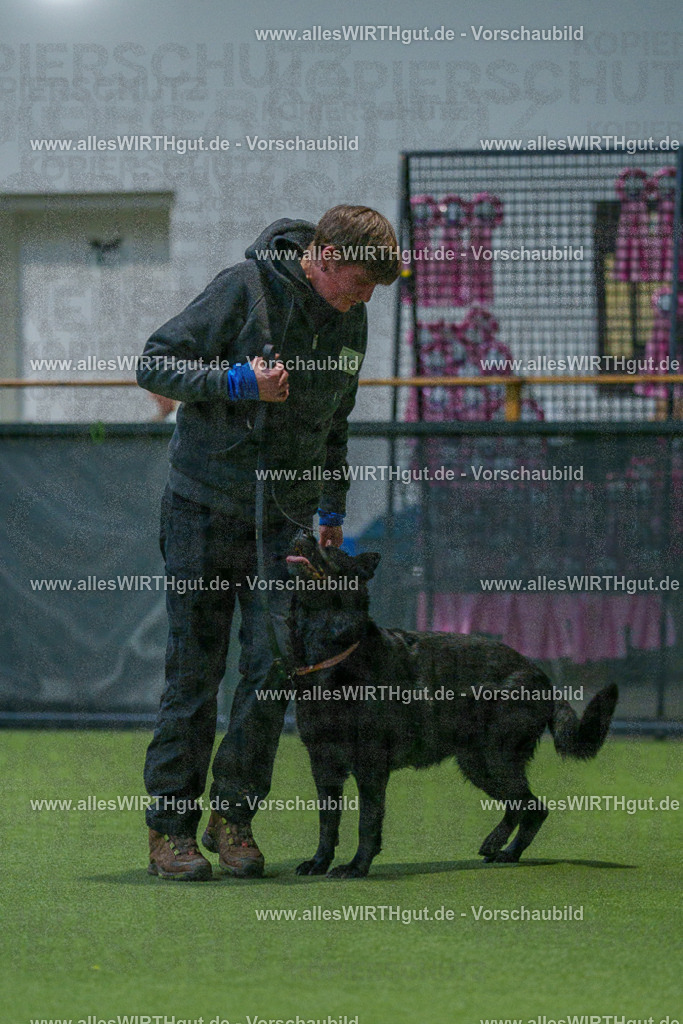 7R508119 | Professionelle Tierfotografie in Mönchengladbach von Daniel Wirth (allesWIRTHgut). Liebevolle & natürliche Bilder von Hunden & Katzen für unvergessliche Erinnerungen.