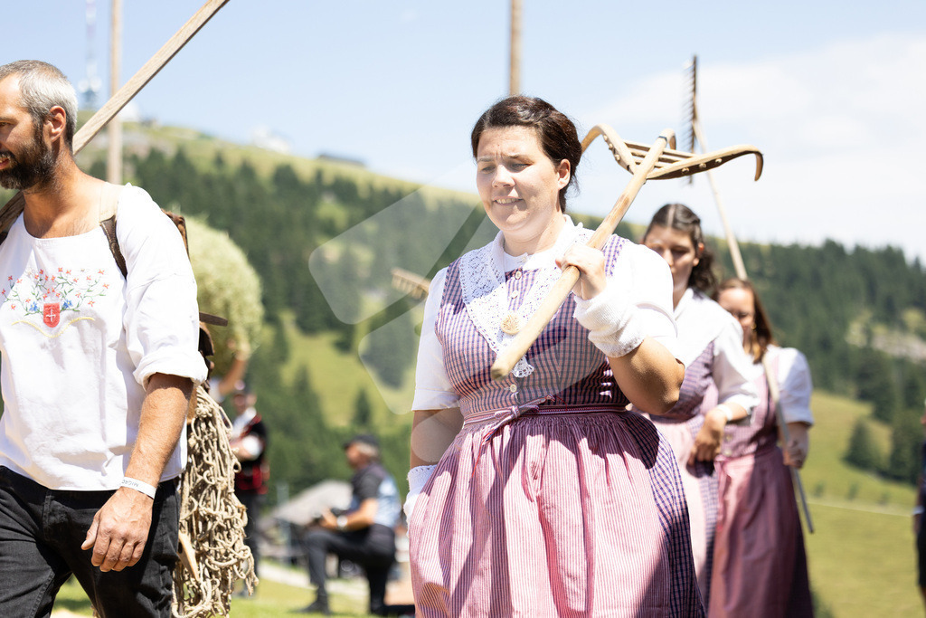 Rigi2025_2113 | Die Schwinger des Schwyzer Kantonalen Schwingerverbandes: Fotos, die Dynamik und Leidenschaft festhalten, sowie emotionale Momente aus dem traditionellen Schwingsport zeigen. - Realisiert mit Pictrs.com