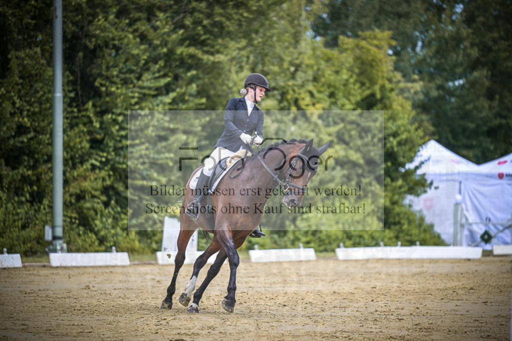DOS_3455 | Entdecke hochwertige Reitturnierfotos von Foto Oger. Professionell, emotional und authentisch – jetzt Lieblingsmomente im Shop bestellen.Deutschlandweite Turnierfotografie. - Realisiert mit Pictrs.com