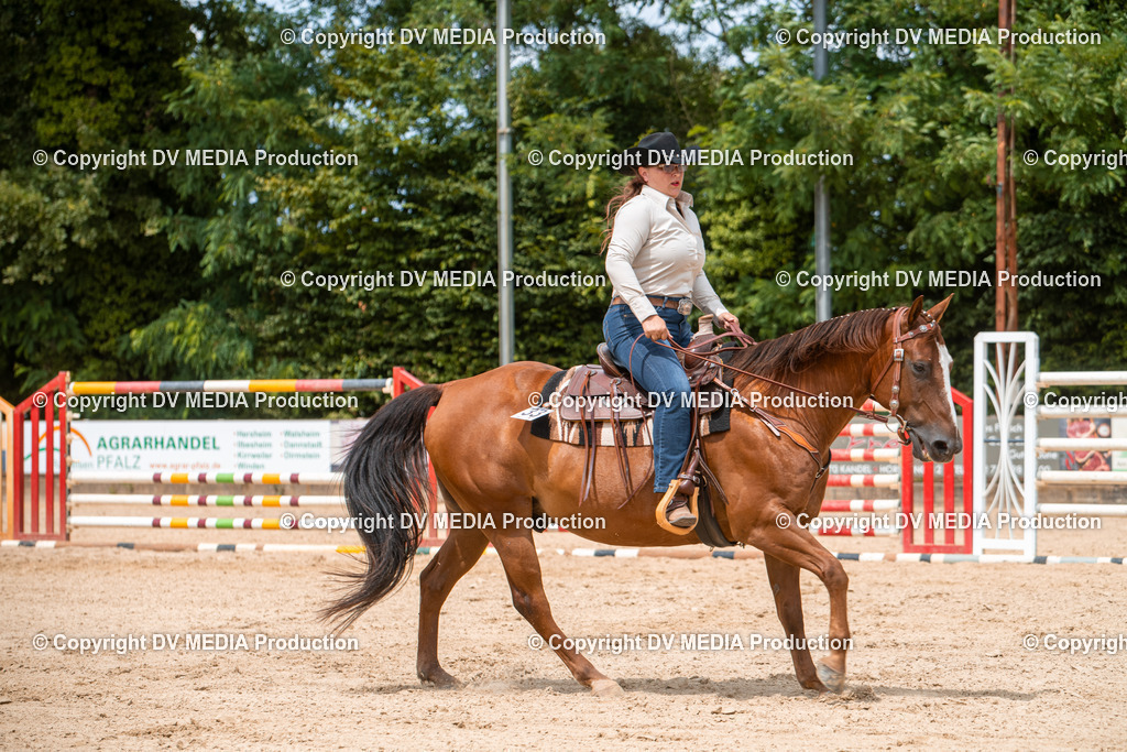 EWP_6322 | dv-media-shop - Realisiert mit Pictrs.com