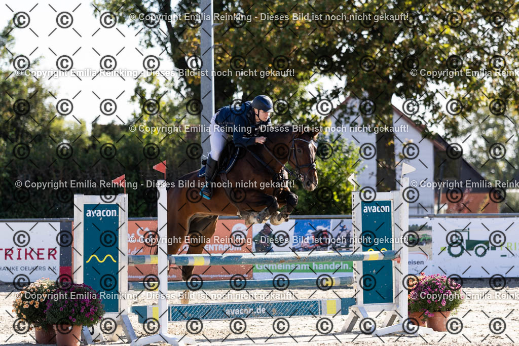 CL5A1314 | Emilia Reinking Fotografie - Realisiert mit Pictrs.com