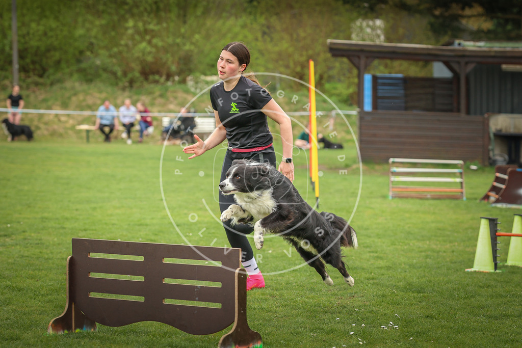 Pfotenfotografie_0L8A0825 | Hundefotografie, Tierfotograf, Pfotenfotografie, Fotoshooting Hund, Hunde Portrait, Hundesport, Hundeportraits, Heideshooting, Hunde, Sportfotograf, Hundefotograf, Turnierhundsport, THS,  - Realisiert mit Pictrs.com